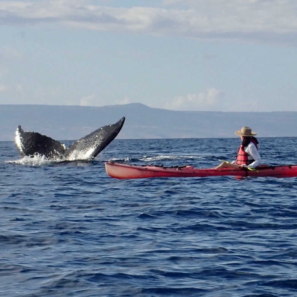 Meet your Posher, A.S.!